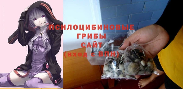 гидропоника Рославль