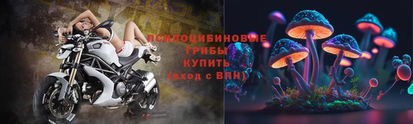 винт Россошь