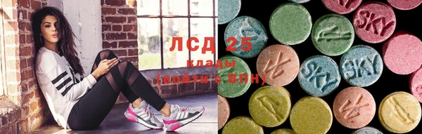 гидропоника Рославль